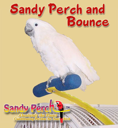 sandy perch nail conditioning bouncing perch