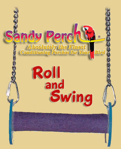 sandy perch conditioning bird toy and swing