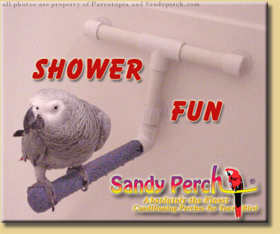 sandyperch showerfun bird toy perch